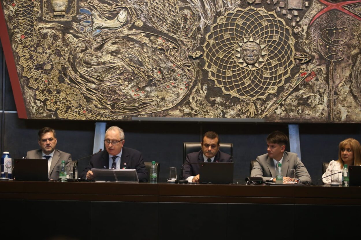 Legislatura: Passalacqua anunció nuevas medidas para fortalecer la economía y respaldar a los emprendedores en Misiones imagen-5