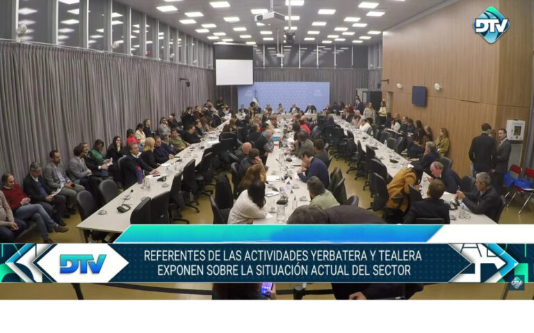 Reunión en Diputados: Directores plantearon la importancia del Inym como herramienta para la actividad yerbatera imagen-43