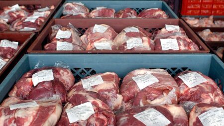 Exportaciones de carne interrumpieron recuperación y cayeron 3,6% en marzo imagen-2