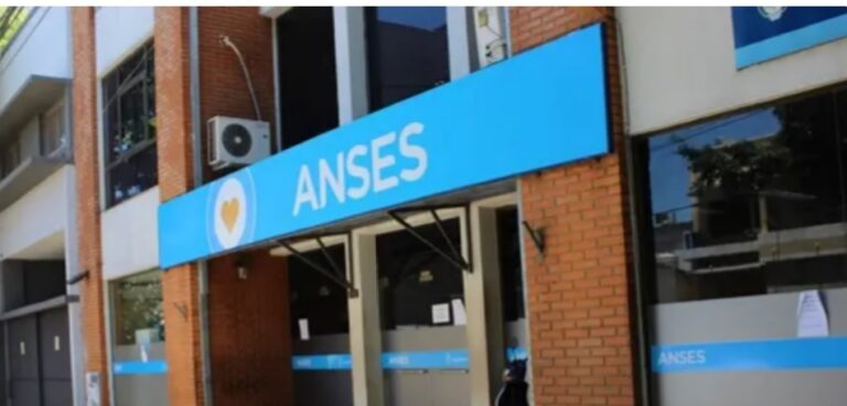 Trabajadores de Anses-Posadas rechazan el DNU imagen-18