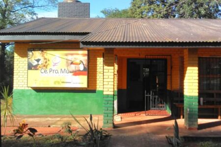 El Centro Provincial de la Mujer brindó atención y contención a más de 4.800 personas desde su creación imagen-6