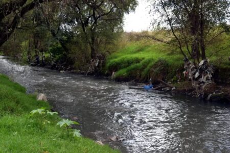 Desafíos Ambientales en el Río Atoyac: Ingeniero químico mexicano señaló que hay "problema de contaminación emergente" imagen-8