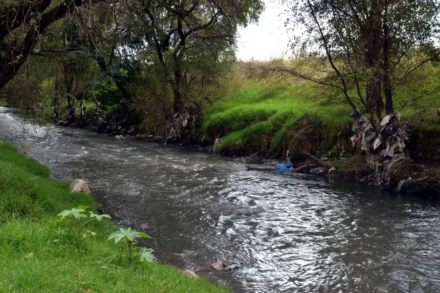 Desafíos Ambientales en el Río Atoyac: Ingeniero químico mexicano señaló que hay "problema de contaminación emergente" imagen-14