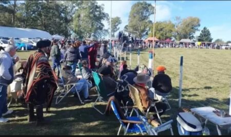 Arrecifes: un jinete murió tras caer de su caballo en un festival de doma imagen-10