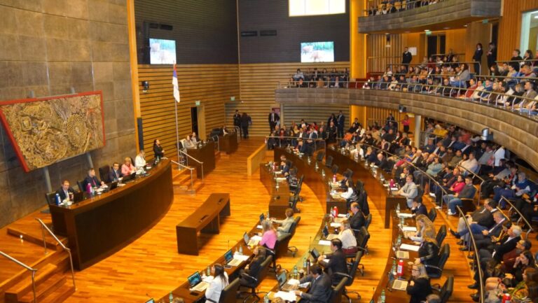 Legislatura: crearon un programa para el abordaje integral de pacientes con Artritis Reumatoidea imagen-30