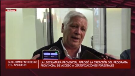 Certificación Forestal: Apicofom estima que habrá una competencia "mucho más pareja" con las grandes industrias del sector imagen-3