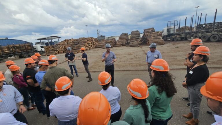 Infopro Misiones debatió en Brasil con entidades forestales sobre la realidad regional del sector, amenazas y desafíos imagen-15