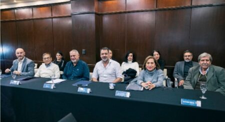 Dengue: Analizan un Plan Estratégico para el Norte Grande imagen-4