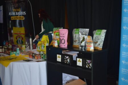 Buscan potenciar a las empresas misioneras en Chaco Buscan potenciar a las empresas misioneras en Chaco imagen-9