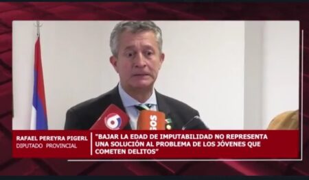 Para Pereyra Pigerl la baja de la edad de la imputabilidad “no es la única solución” imagen-3