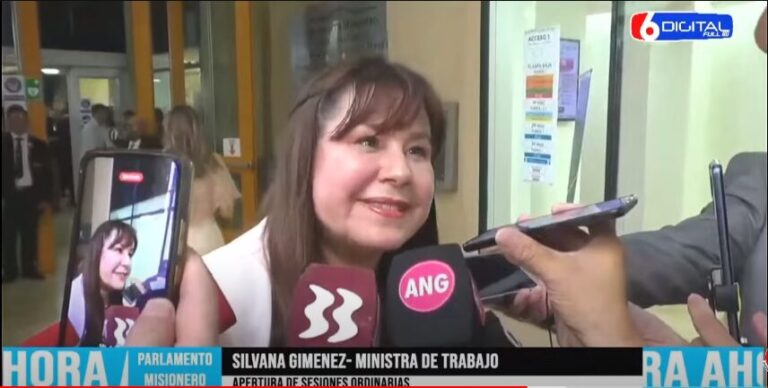 Reforma laboral: La ministra Giménez aseguró que no hubo modificaciones estructurales en la Ley de Empleo, "se han introducido diferente cambios" imagen-49