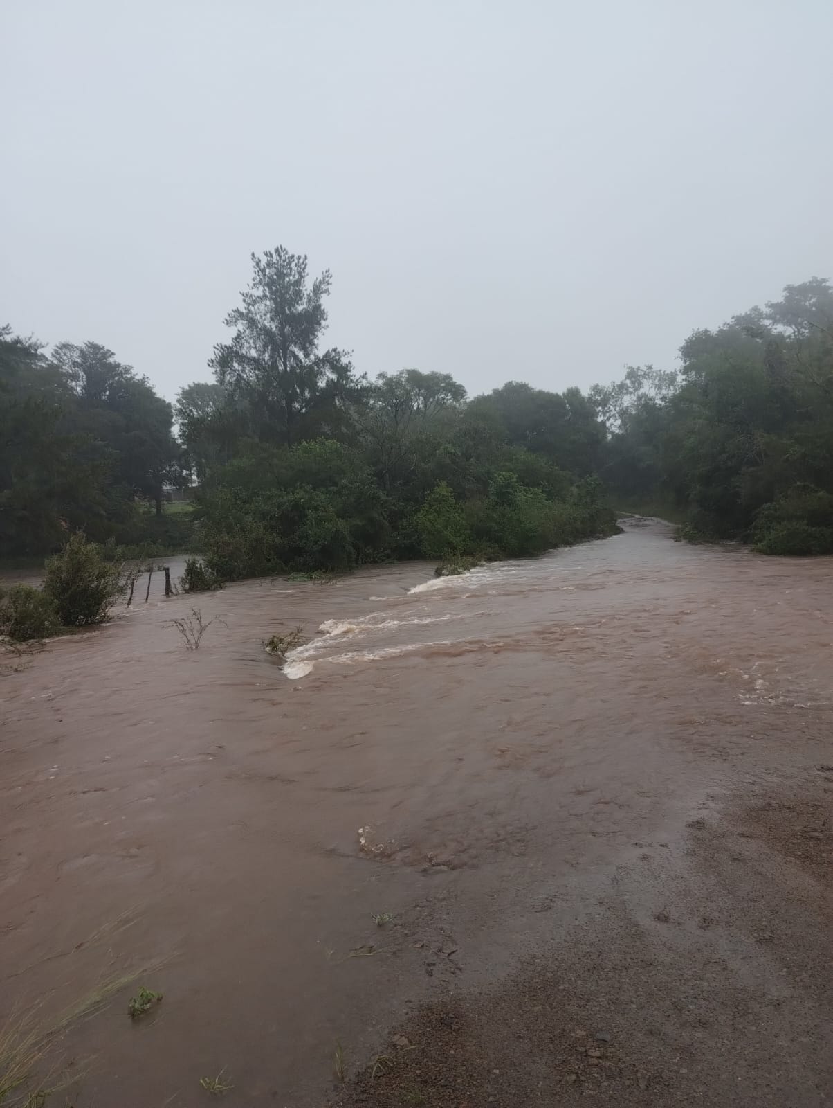 Temporal: Asisten a los afectados por las fuertes lluvias en toda la provincia imagen-16