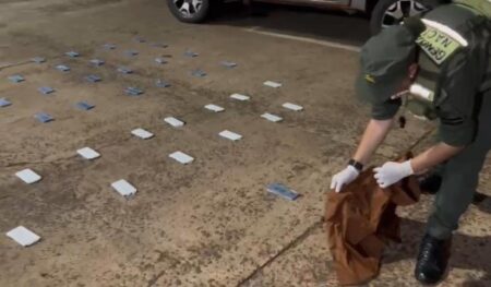 Secuestran 70 celulares que llevaba ocultos una mujer en un micro imagen-27