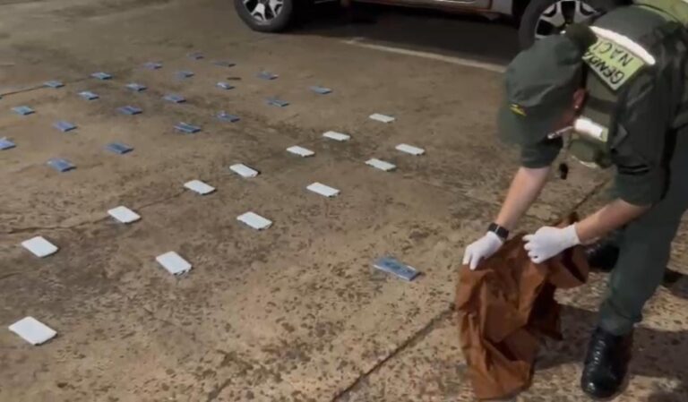 Secuestran 70 celulares que llevaba ocultos una mujer en un micro imagen-41