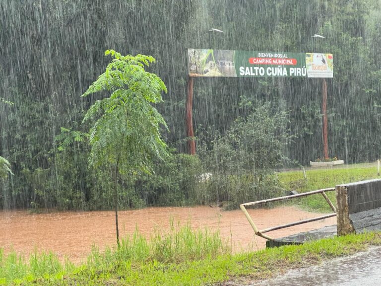 Ruiz de Montoya: Clausuran el tránsito por el puente sobre el arroyo Cuña Pirú imagen-25