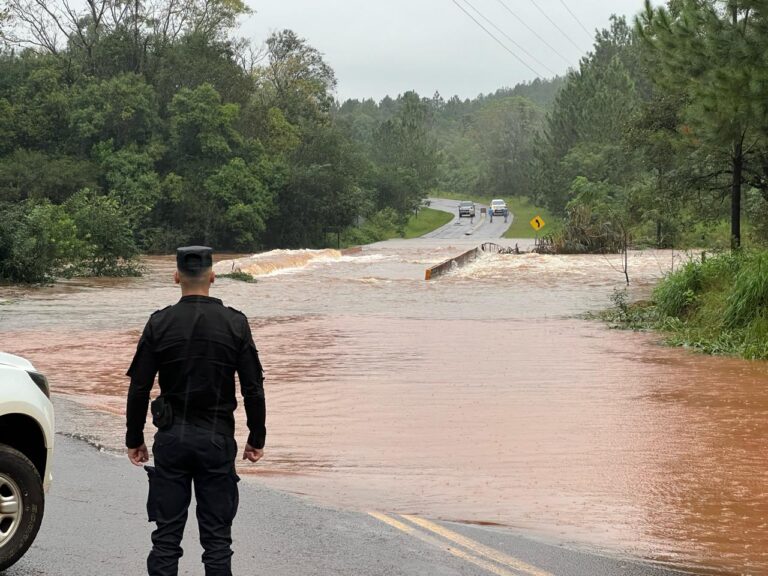 Reportan baja del caudal del río Uruguay en la zona de El Soberbio imagen-23