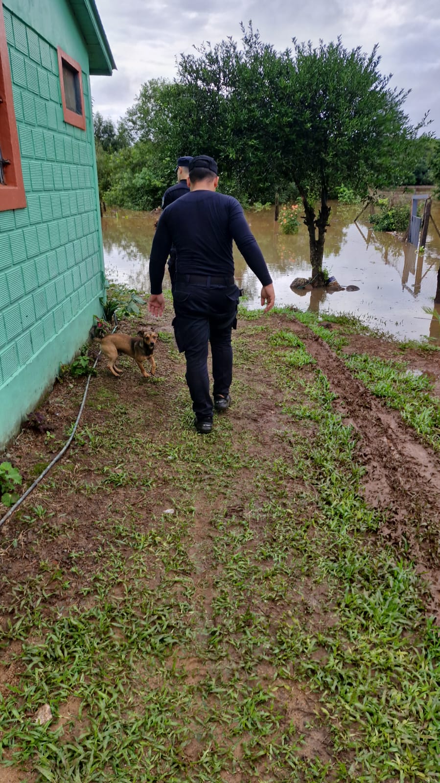 Panambí: ante la crecida del río Uruguay varias familias debieron ser evacuadas imagen-13