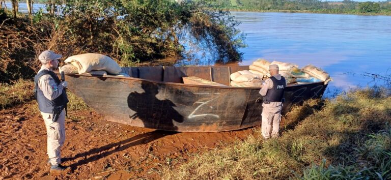 Soja ilegal: Prefectura secuestró casi ocho toneladas que intentaban traficar a Brasil imagen-47