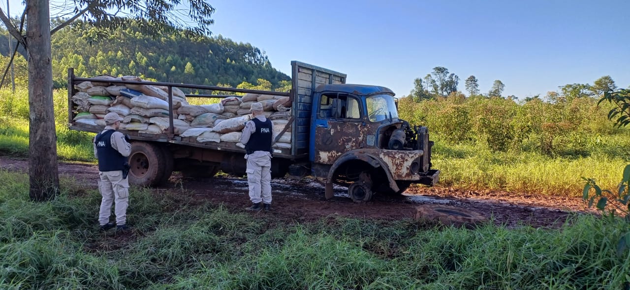 Soja ilegal: Prefectura secuestró casi ocho toneladas que intentaban traficar a Brasil imagen-2