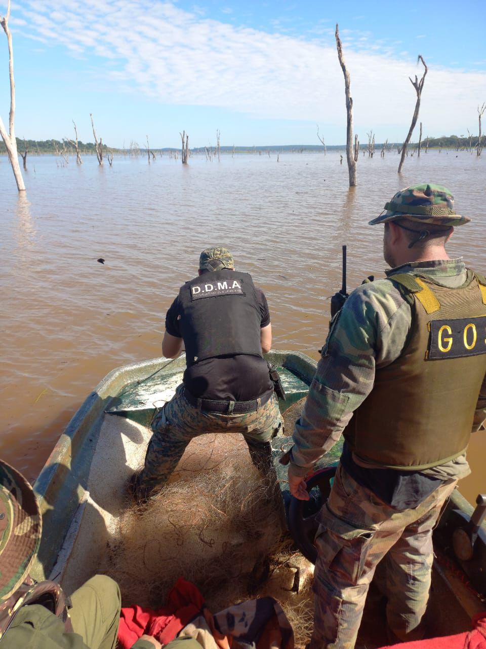 Detectaron redes montadas por pescadores furtivos cerca de la Isla Palacio imagen-2