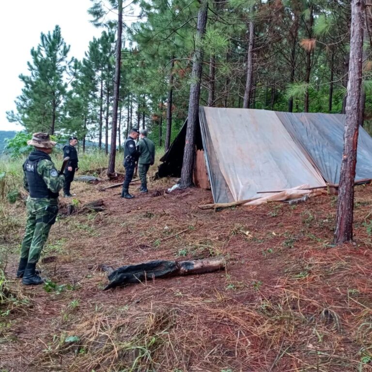 Policías ambientales evitaron que ocuparan una propiedad y realizaran rosados imagen-7