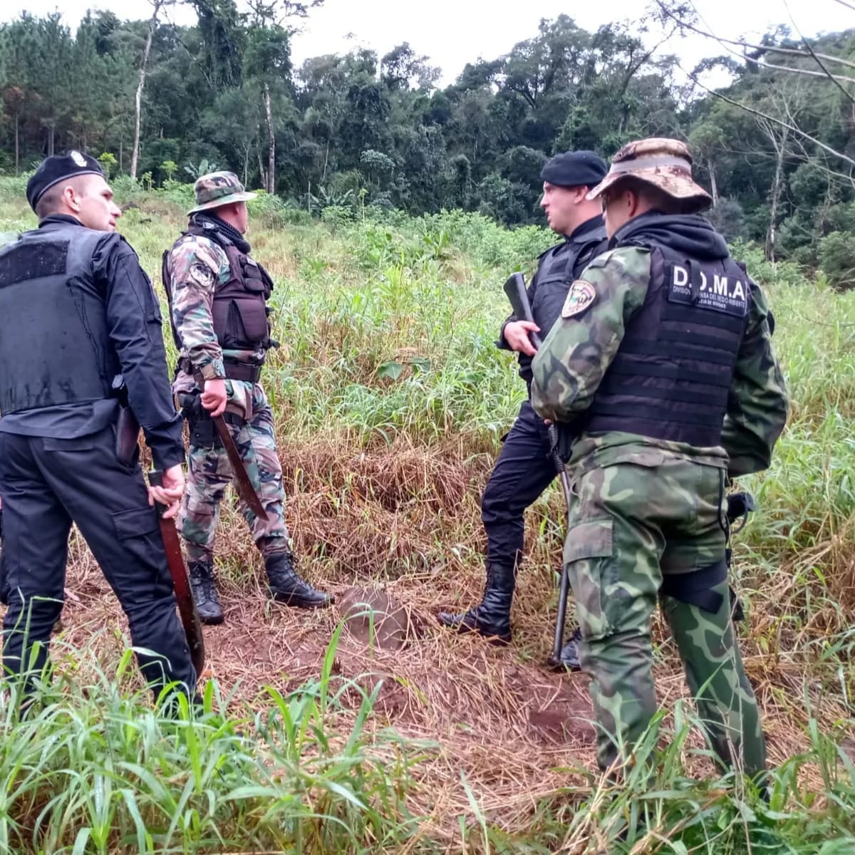 Policías ambientales evitaron que ocuparan una propiedad y realizaran rosados imagen-2