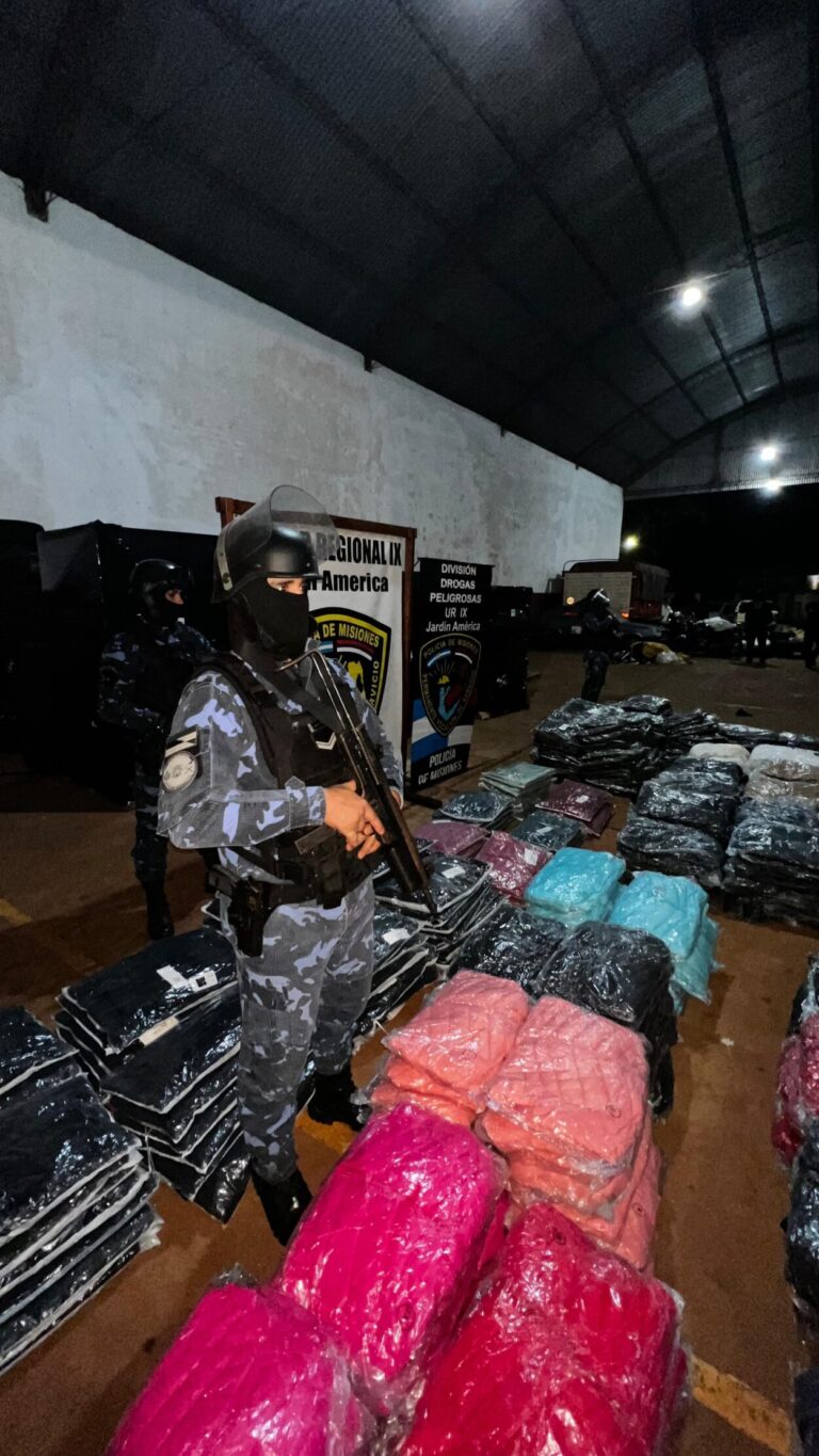 La Policía incautó más de $300 millones en neumáticos de contrabando imagen-10