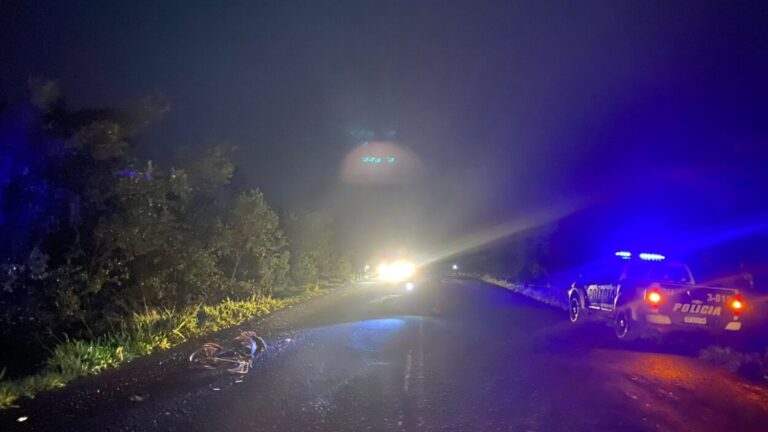 Un ciclista falleció en Dos Arroyos en un siniestro vial imagen-14