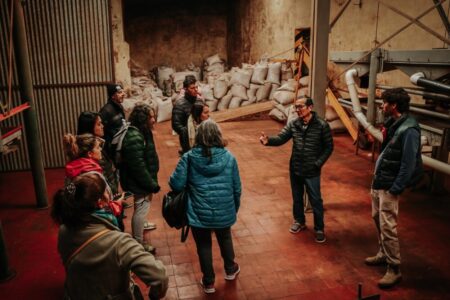 Experiencia del Té: Misiones impulsa la diversificación de establecimientos tealeros Experiencia del Té: Misiones impulsa la diversificación de establecimientos tealeros imagen-1