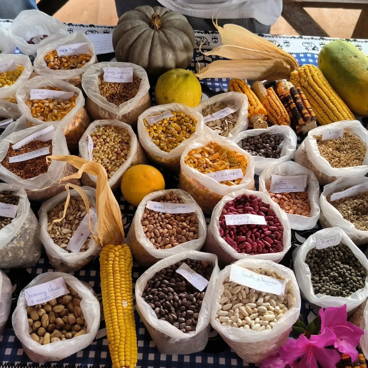 En junio, Feria Zonal de Semillas y Talleres de Producción Agroecológica en Gobernador Roca imagen-57