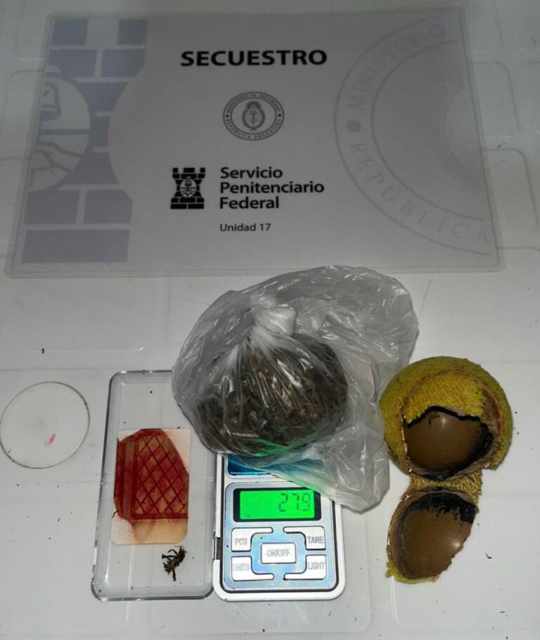 Intentó ingresar drogas a la cárcel de Candelaria ocultas en pelotas de tenis imagen-22