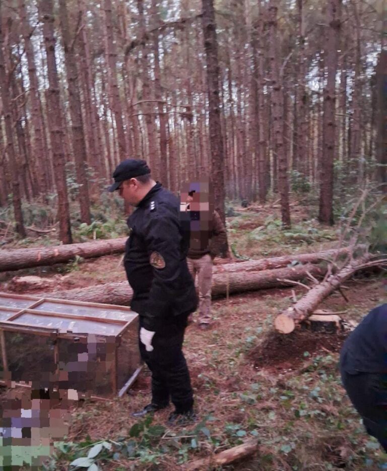 Investigan la muerte de un hombre aplastado por un árbol: detuvieron a un maquinista imagen-36