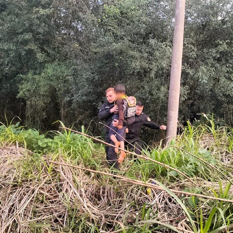 Travesuras: niño se escapó de la escuela y tras intensa búsqueda lo encontraron arriba de un árbol imagen-20