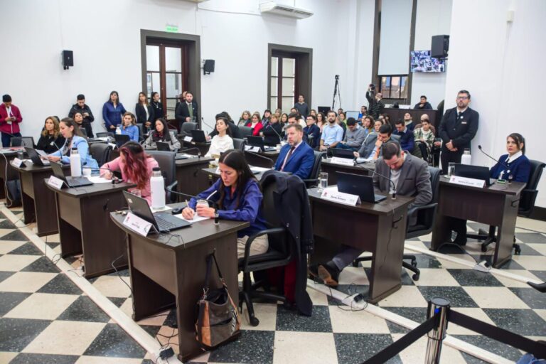 Concejo Deliberante posadeño: iniciativas del Parlamento de la Mujer 2024 toman estado parlamentario imagen-1