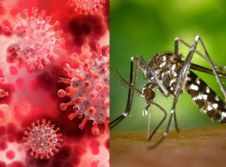 Covid o Dengue: ¿Cuál es más riesgoso? imagen-42