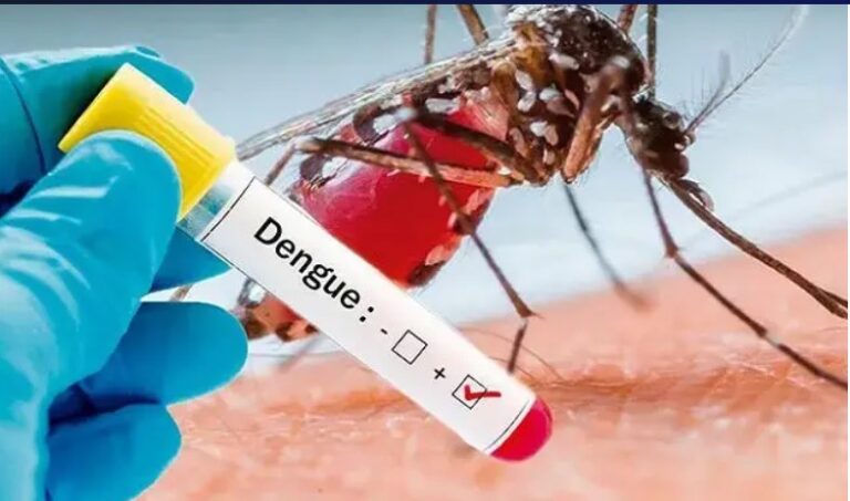 A excepción de Chaco y Formosa, no hay evidencia de circulación viral de dengue en ninguna jurisdicción del país imagen-31