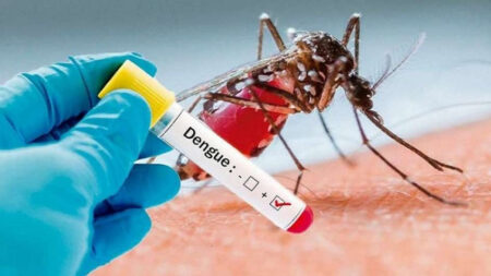 Bajan los casos de dengue en Argentina: ya son 335 los muertos y hubo más de 490 mil contagios imagen-40