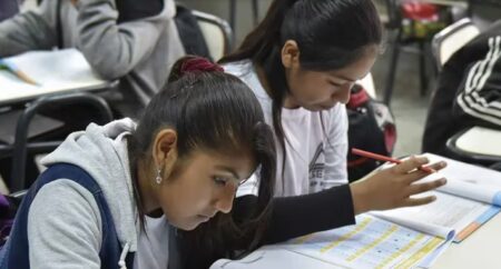 En Argentina, solo el 22% de los chicos de 15 años cursa la escuela en tiempo y forma En Argentina, solo el 22% de los chicos de 15 años cursa la escuela en tiempo y forma imagen-2