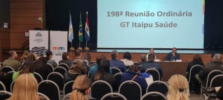 GT Salud: Misiones participa en el armado de proyectos en común para la frontera imagen-1