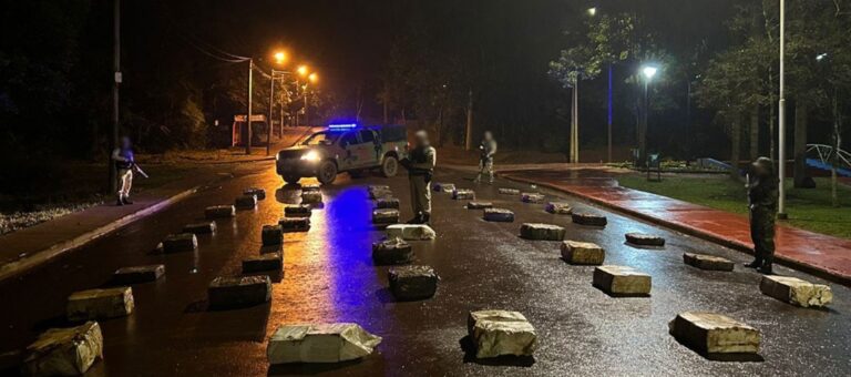 Secuestran un millonario cargamento de marihuana en la zona de Montecarlo imagen-3