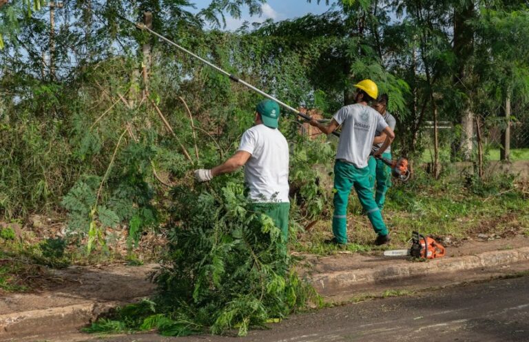 Avanza en la ciudad el Operativo Integral de Poda imagen-40