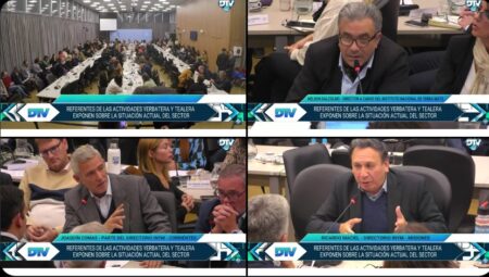 Misiones pidió frenar la importación de yerba mate y acompañar a la producción tealera Misiones pidió frenar la importación de yerba mate y acompañar a la producción tealera imagen-10