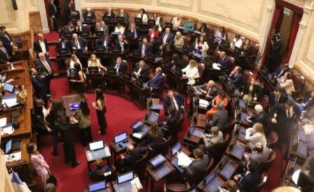 Ley Bases en el Senado: Misiones seguirá la línea "del consenso y la gobernabilidad" imagen-32