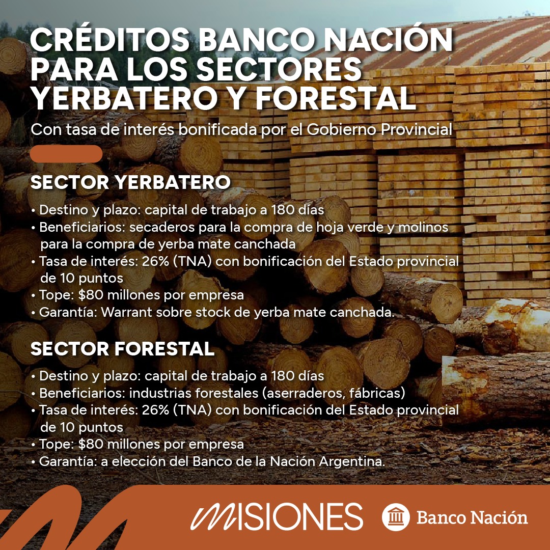 Detallan alcances de la línea crediticia para los sectores yerbatero y forestal imagen-2