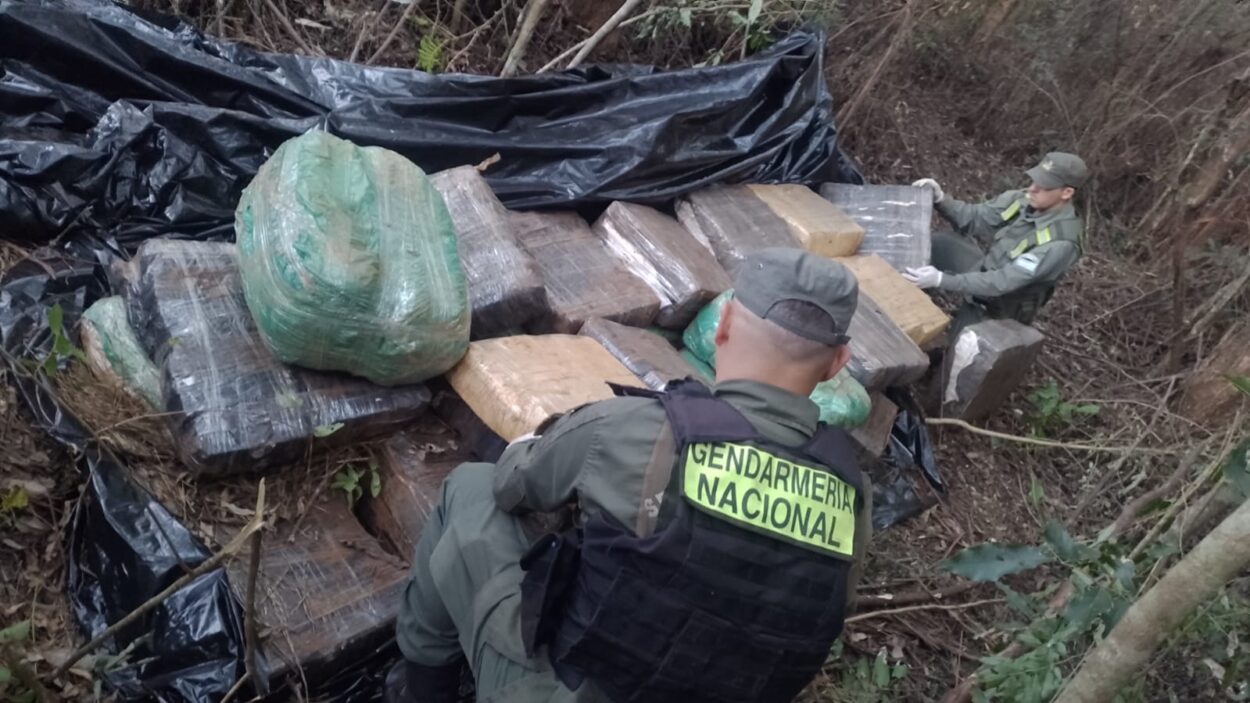 Gendarmería halló más de 600 kilos de marihuana entre la maleza imagen-7