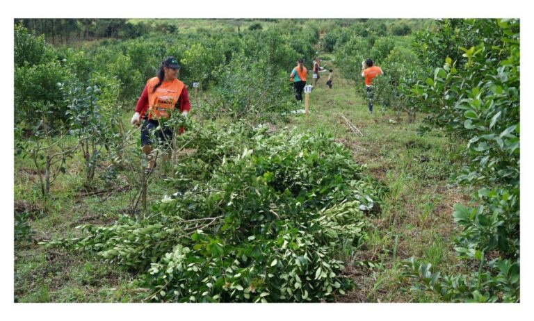 Las mujeres fueron protagonistas de una capacitación y concurso de poda de Yerba Mate imagen-13