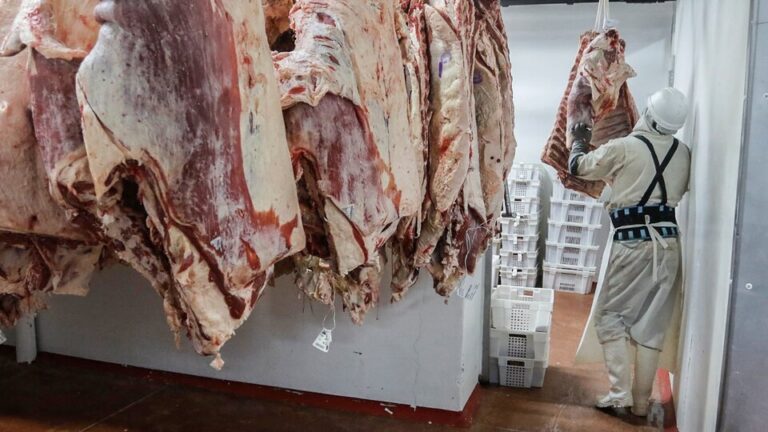 Argentina registró un récord de exportación de carne vacuna imagen-11