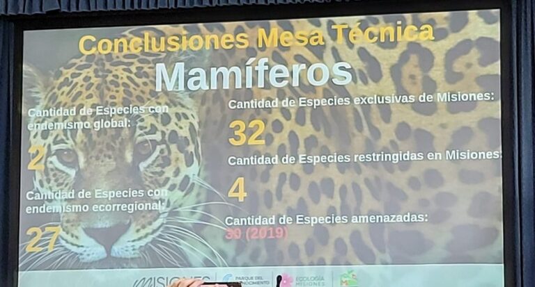 En Misiones habitan más de 21.900 especies animales, vegetales, hongos y bacterias imagen-26