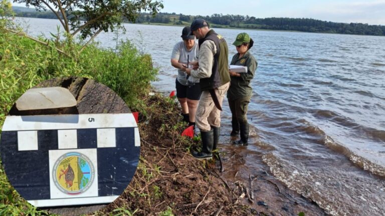 Hallazgo arqueológico en Parque Federal Campo San Juan: investigan el origen de fragmentos cerámicos dentro del área imagen-2