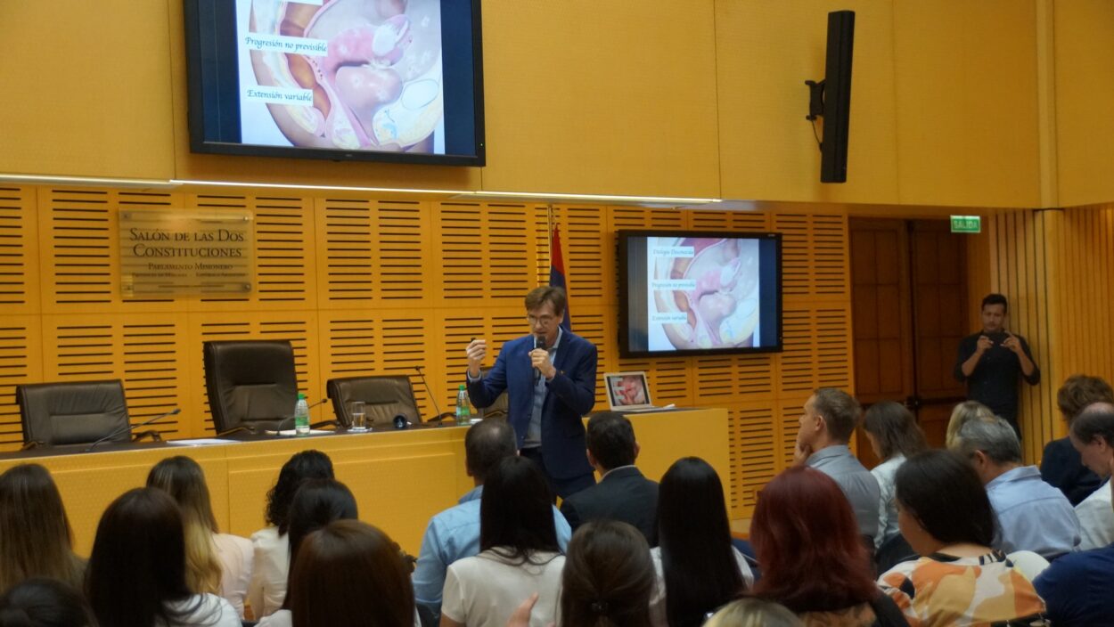 La Legislatura y el IPS trabajan para concientizar sobre la endometriosis imagen-4